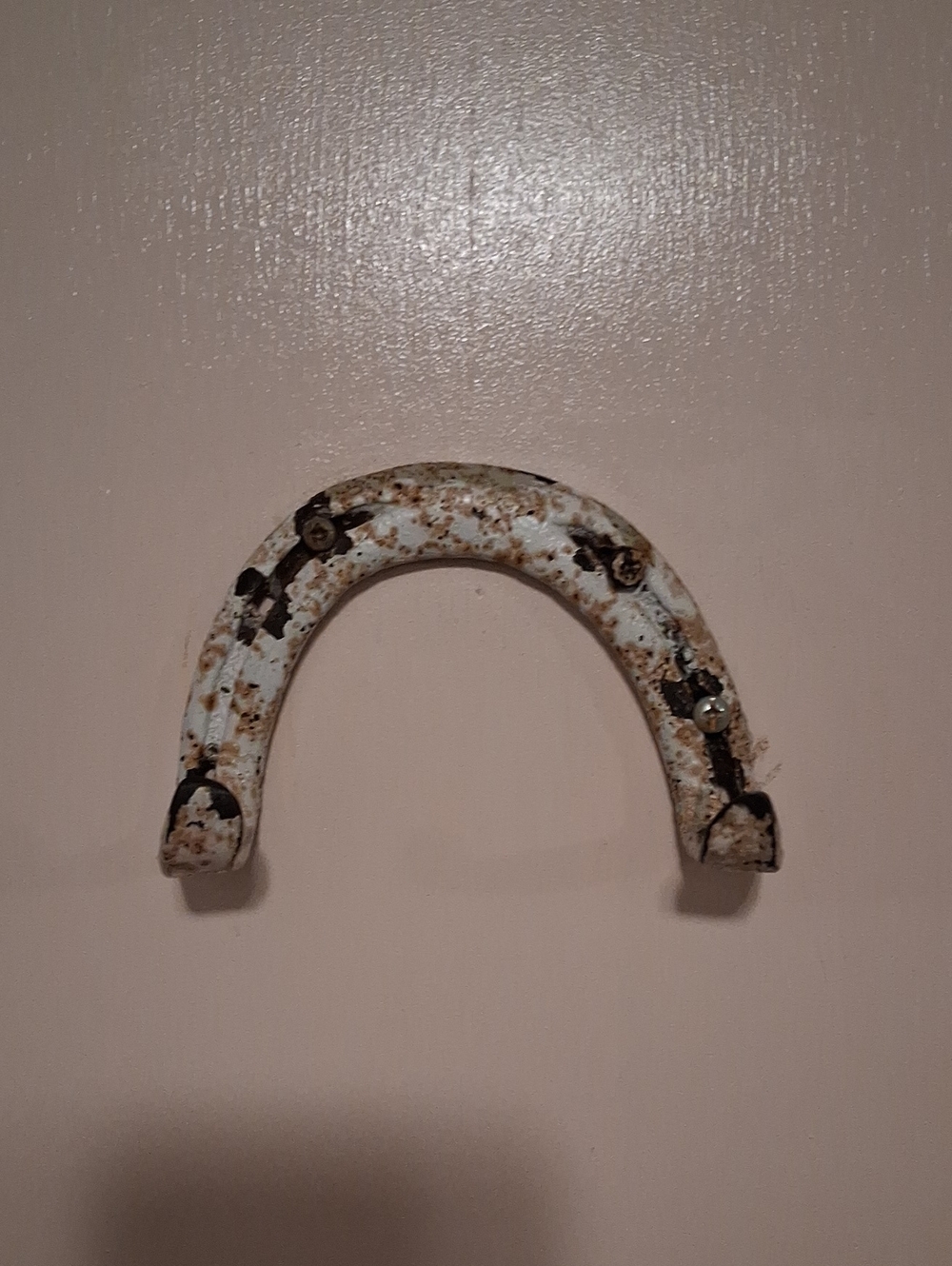 Vintage White Distressed Horseshoe Wall Hook